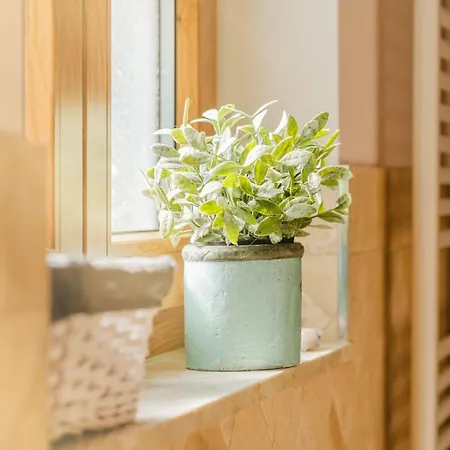 Σπίτι διακοπών Kamin-haus-nr-3-mit-sauna-in-burg Φέμαρν
